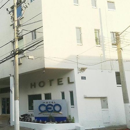 Hotel Ceo موروليا المظهر الخارجي الصورة